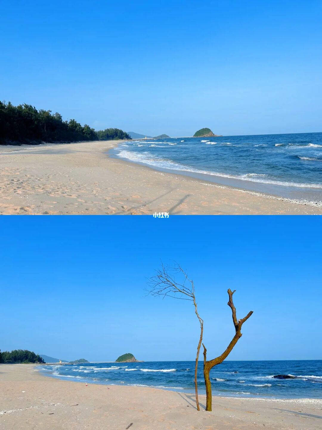 哇‼️免费且人少的野沙滩🏖️水清沙细🉑️赶海