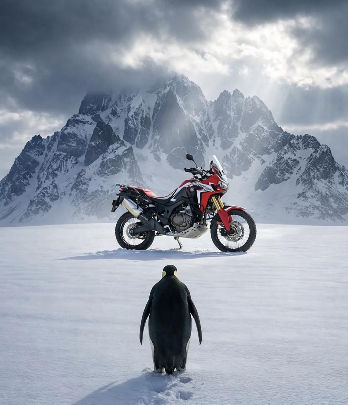 ღ﹋²⁰²⁶/₁.₂₉﹏🌷
周④   暖心
愿你成为自己喜欢的样子
不抱