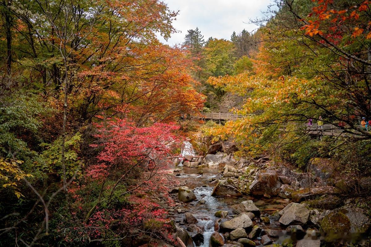 自由职业，职业是前提，自由是结果。你不喜欢上班，却热爱工作。人生总有AB面，你承