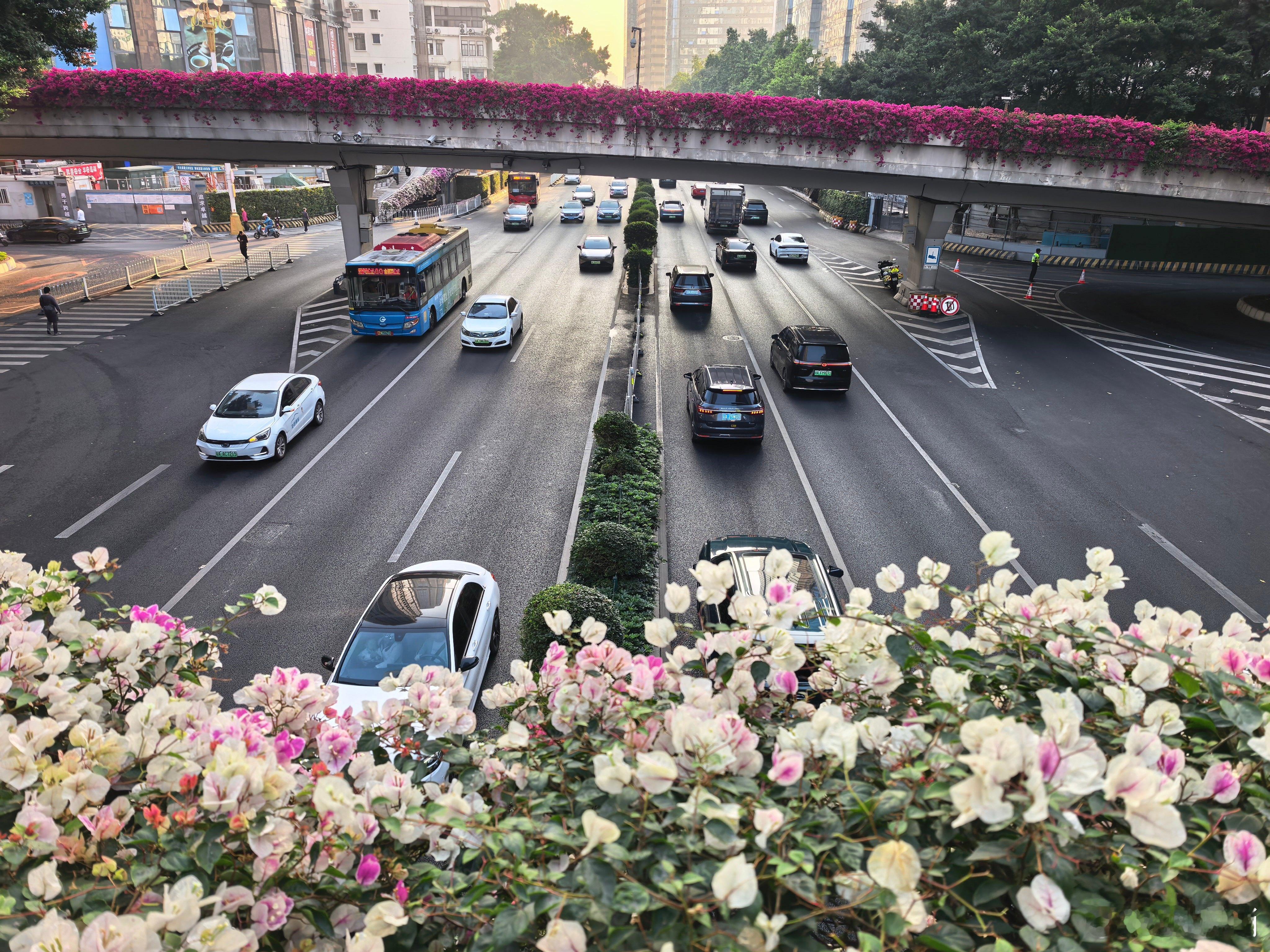 印度教授发中国街景称被印媒骗惨了 一条街景视频，让印度教授感叹，也让国内网友反思