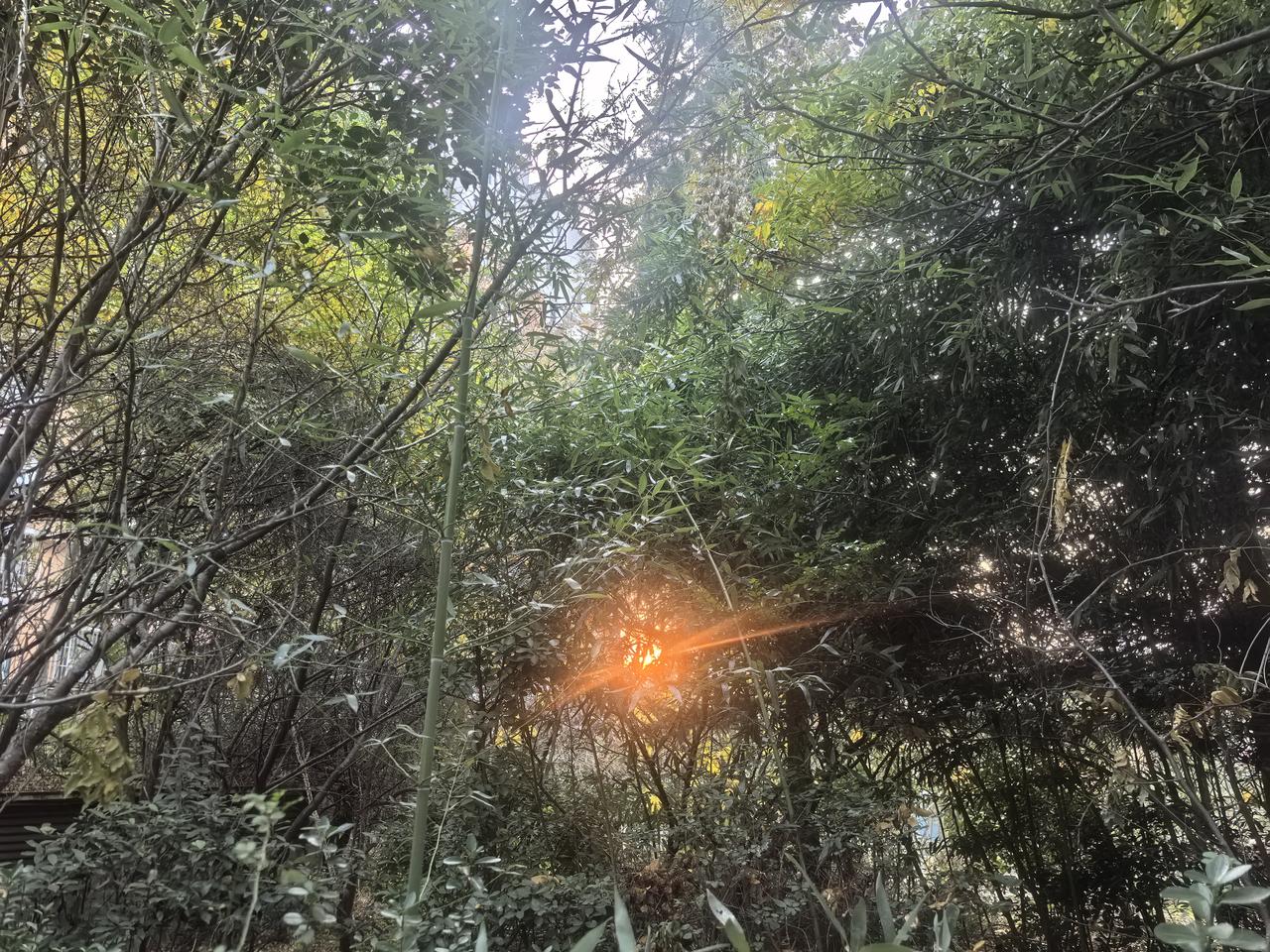 冬日生活打卡季冬日里的夕阳有一种别样的美丽[玫瑰][玫瑰][玫瑰]