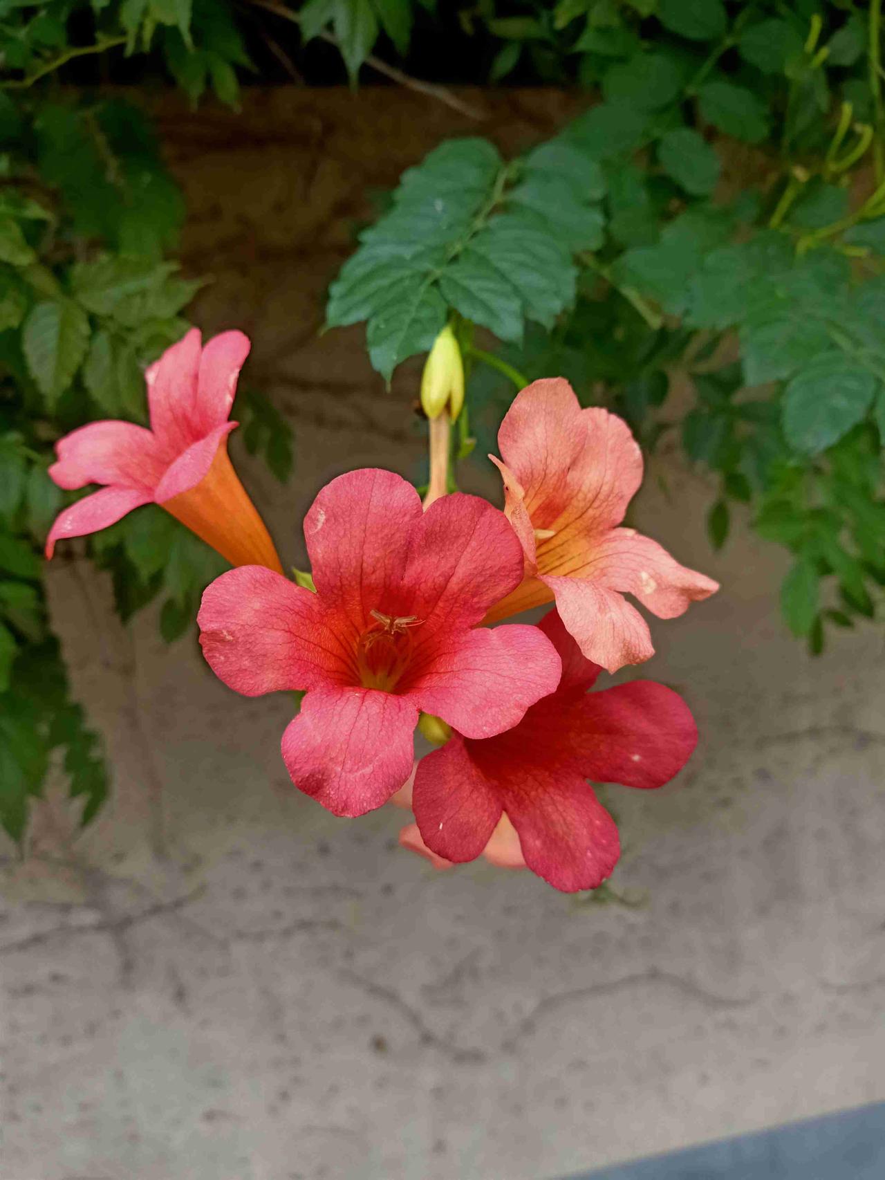 我的今日状态：🏃‍➡️运动
我这里的天气：🌤️多云