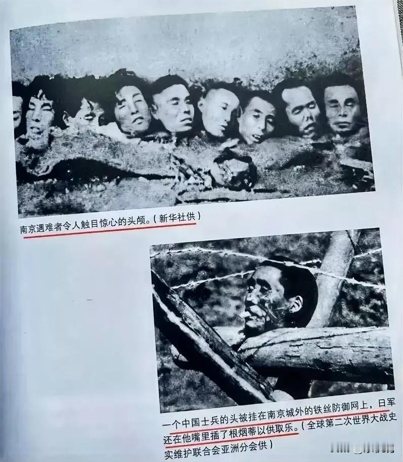 男人的头，
女人的头，
幼儿的头…
好多好多头，背后曾是会说会笑，被亲人亲亲抱抱