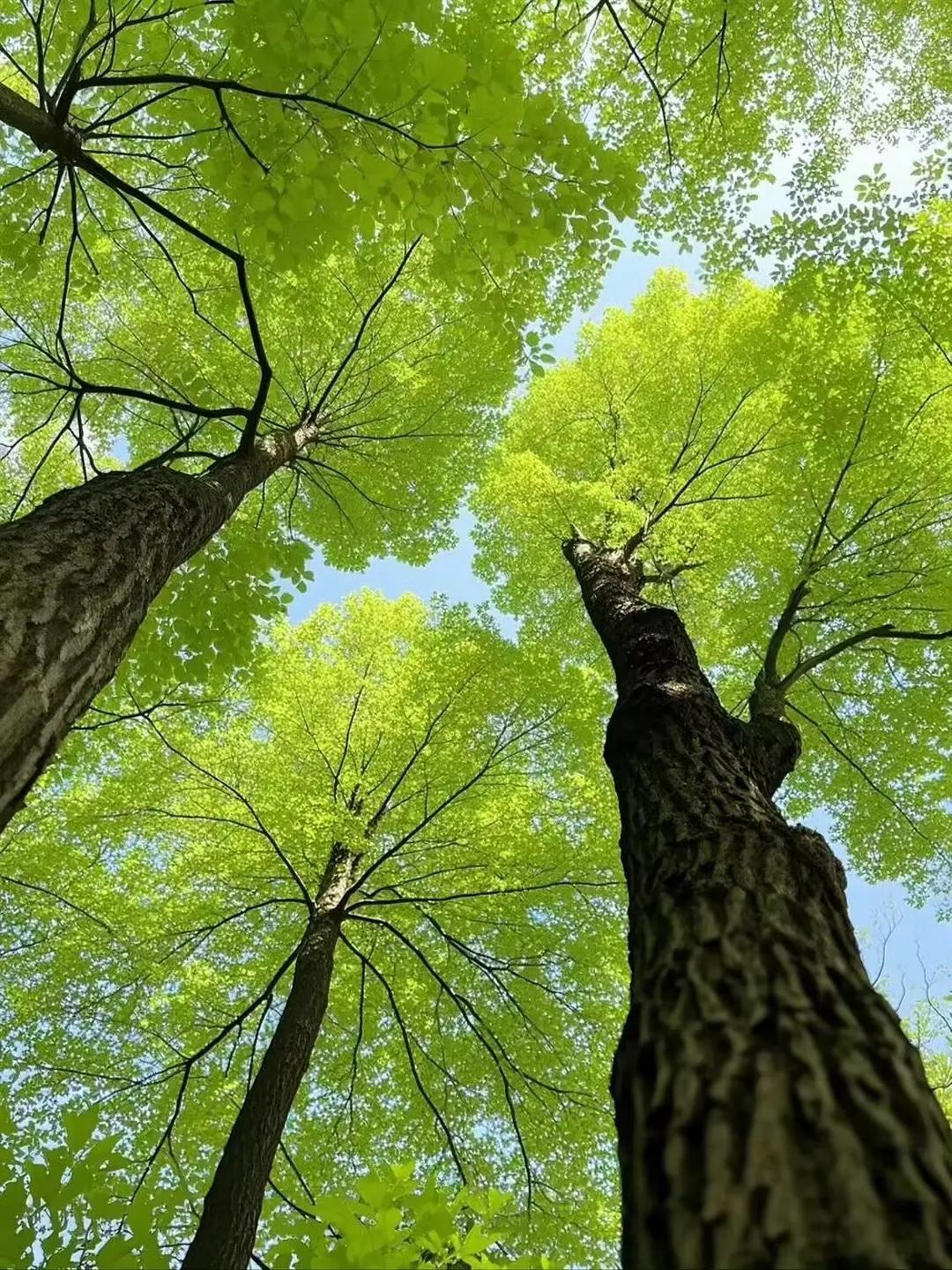 头上撞出包才悟出的道理：

1、任何时候都不要撕破脸，江湖险远。
2、一定不要晒