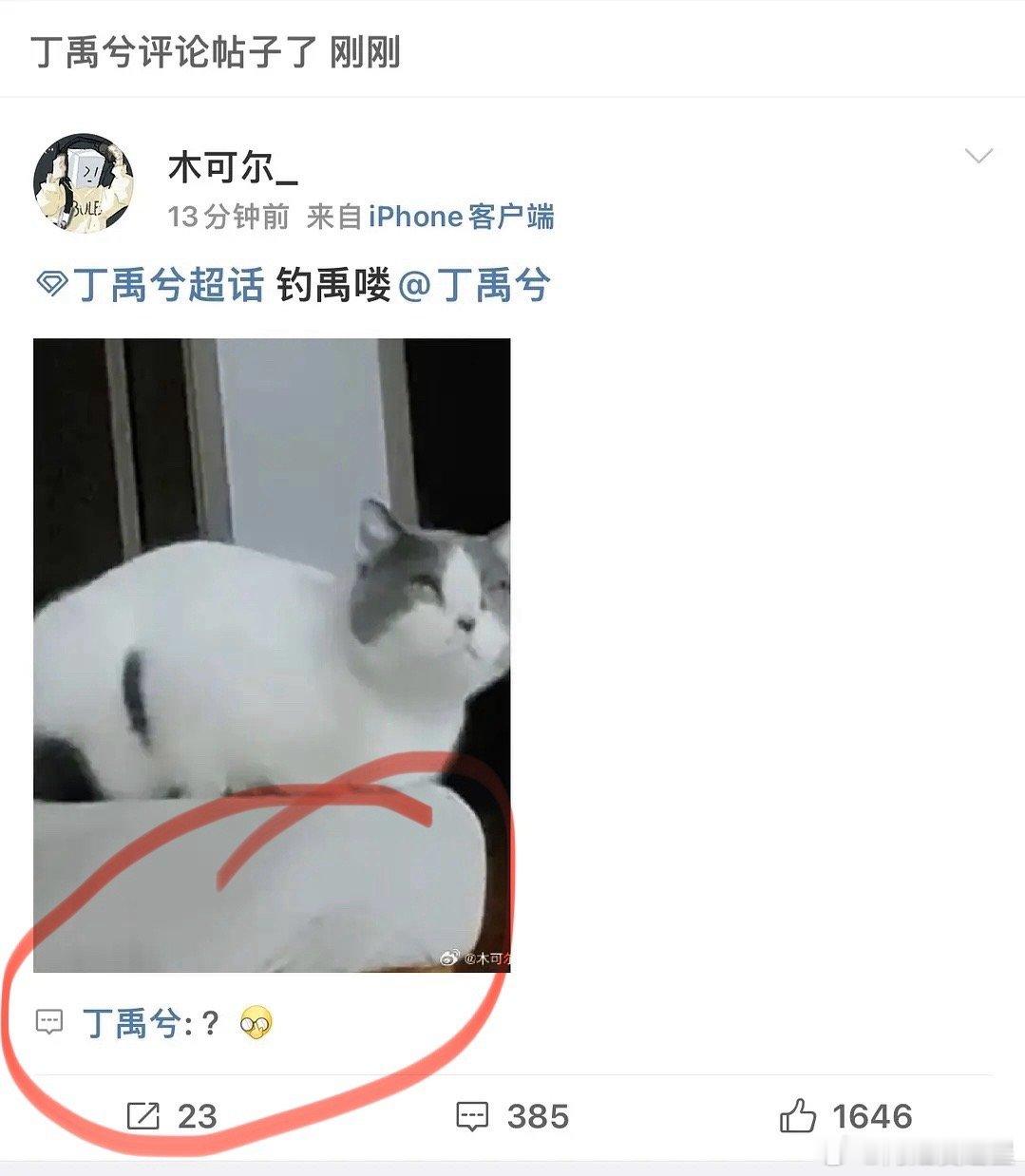 禹宙中欣 美丽的神话 哈哈哈，丁禹兮真吃瓜！连钓鱼梗都知道[偷笑] 