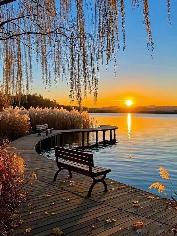 有车有房踏实肯干的男孩，在相亲市场被晾着。染黄毛纹身骑鬼火炸街的烂仔，女朋友换了