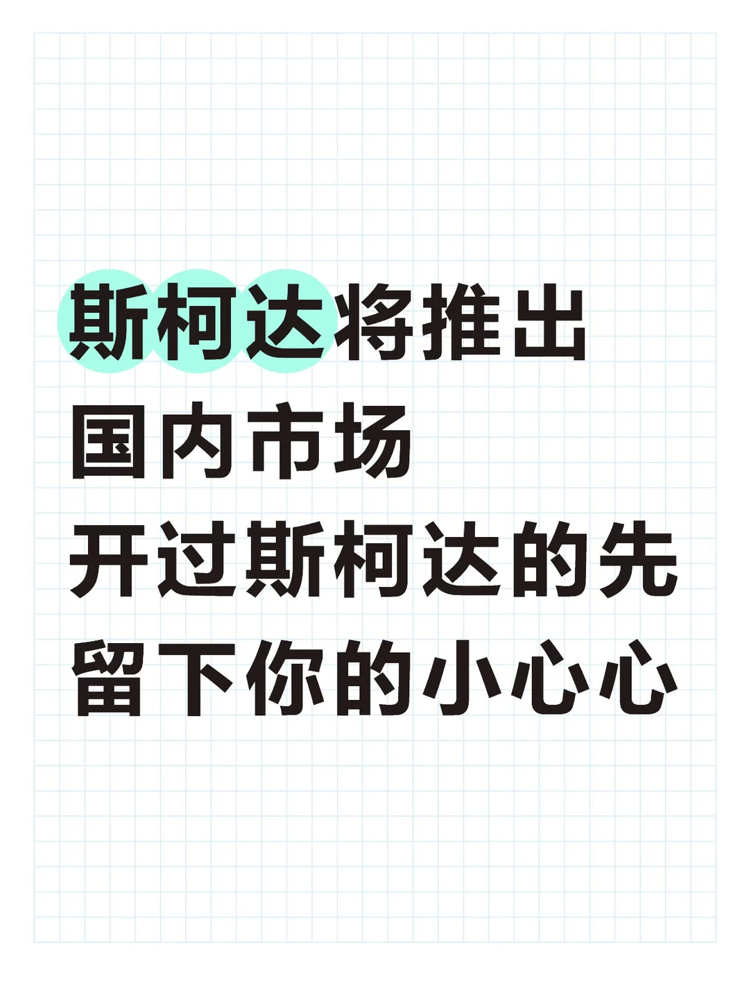 斯柯达将推出国内市场 开过斯柯达的先留下你的小心心