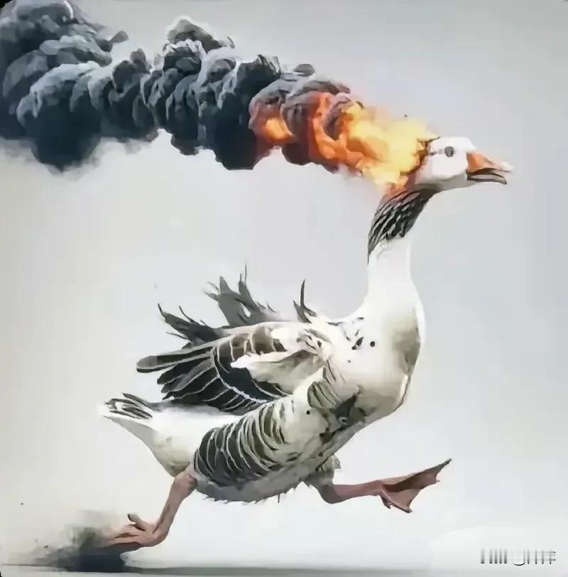 叙利亚内战打了十几年，阿萨德.巴沙尔领导的政府军突然就失败了。如今巴沙尔本人都不