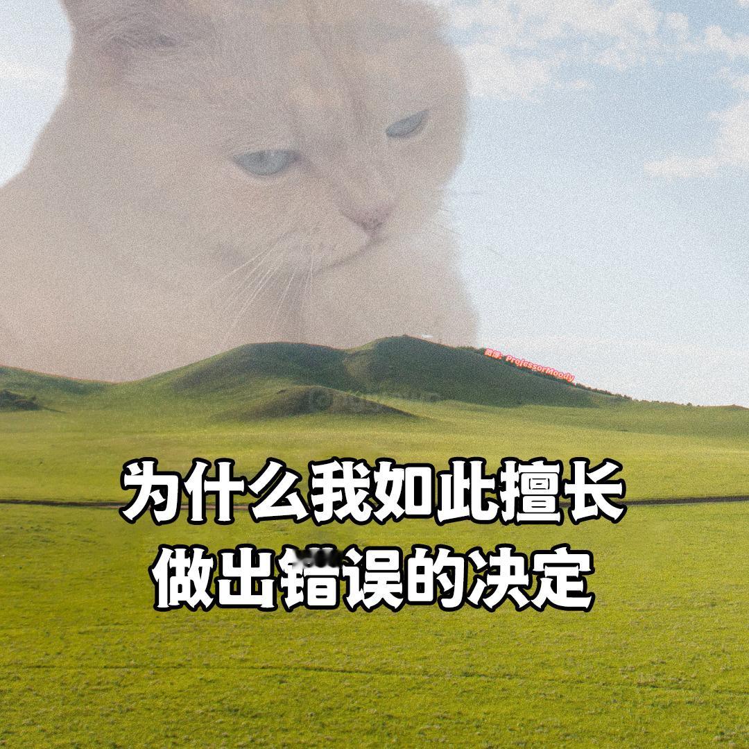 至少还有擅长的东西meme