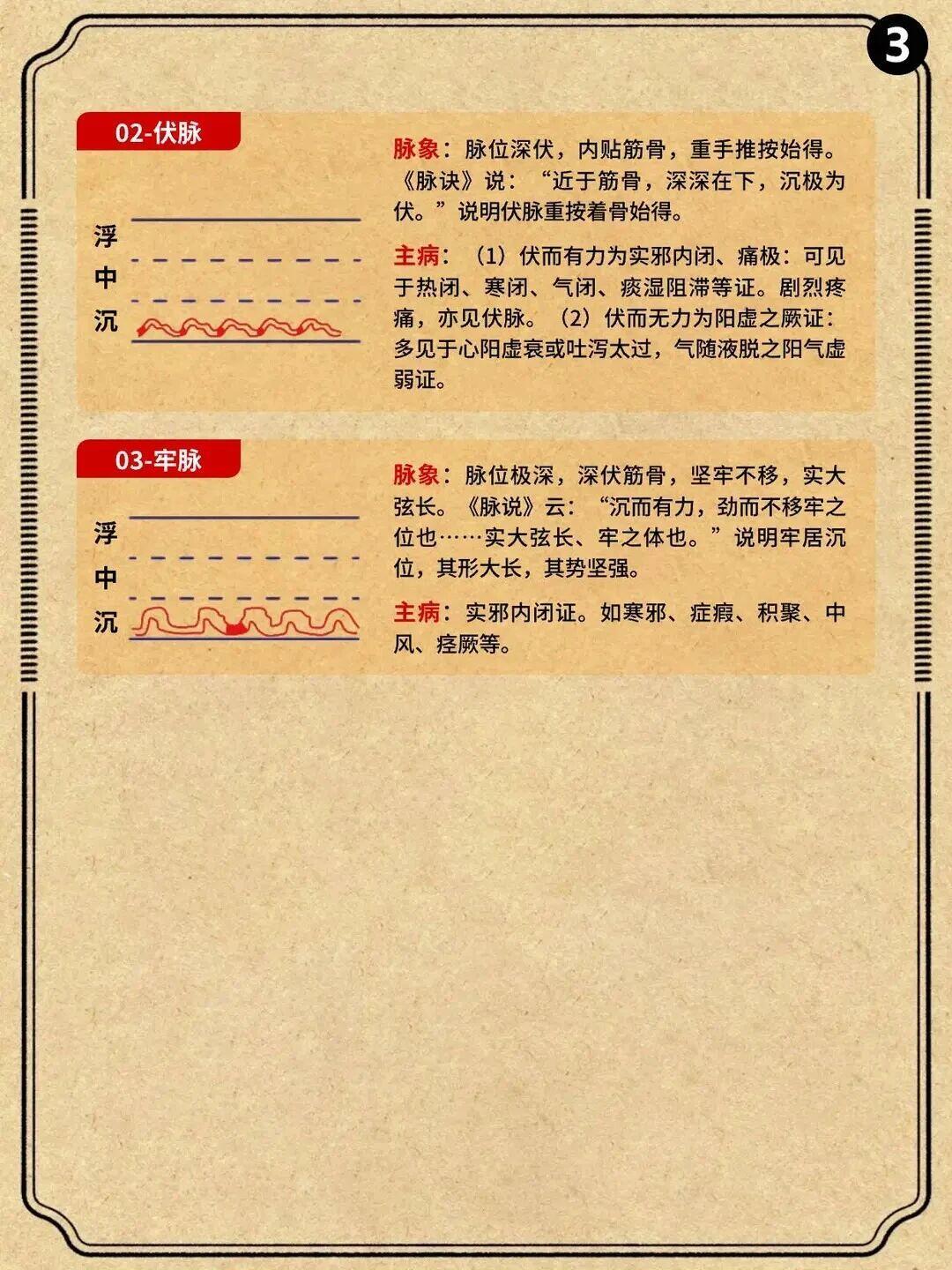 老祖宗的28脉法，号脉不求人！大白话版国医的精诚力量