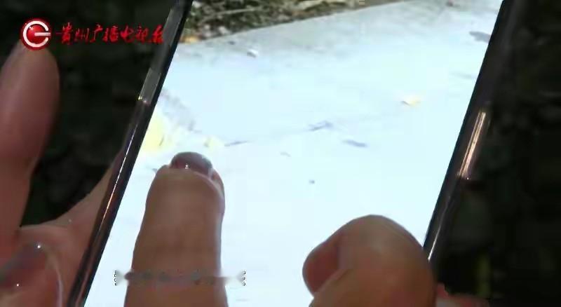 1月29日，贵州贵阳发生了一起令人震惊的高空抛物事件。谢女士在小区内散步时，突然