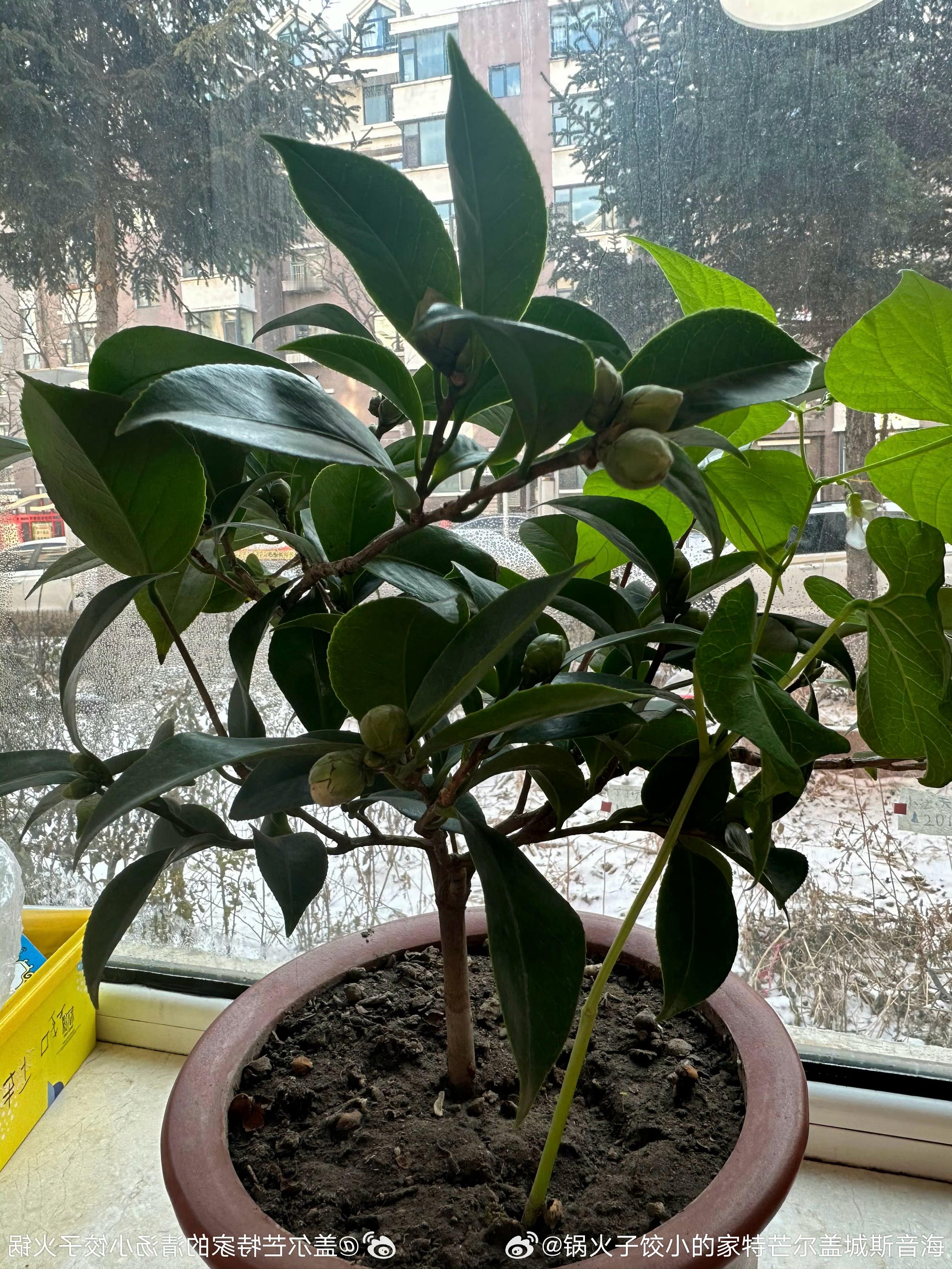 90：02 32˙21˙3202下释解忙帮学同的大农有没有详安很旧依朵骨花的子栀