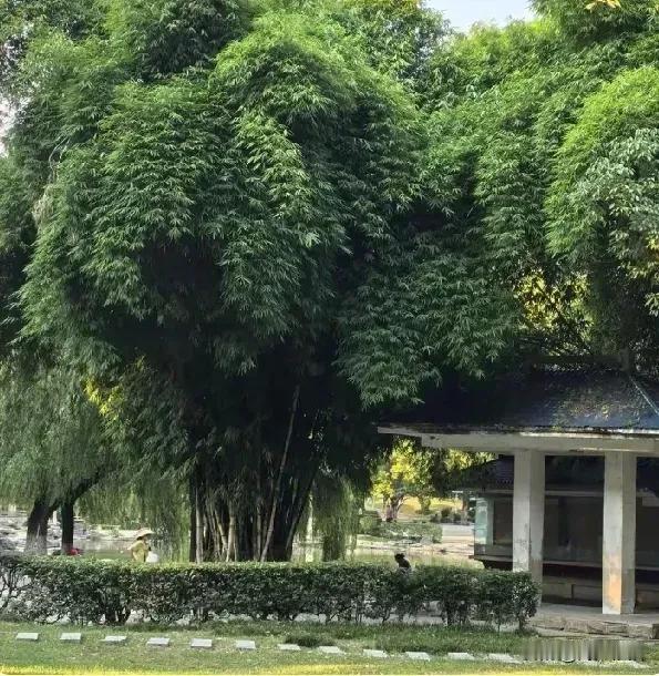 《卜算子·静养寄安》

平淡可养心，
至善能修德。
真诚相交结良友，
知足增年寿