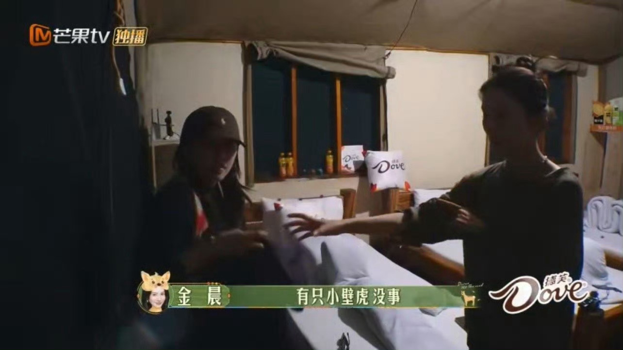 #周雨彤壁虎是移动蚊香##花少更新# 花少最新一期，当金晨和宋茜因一只大壁虎的出