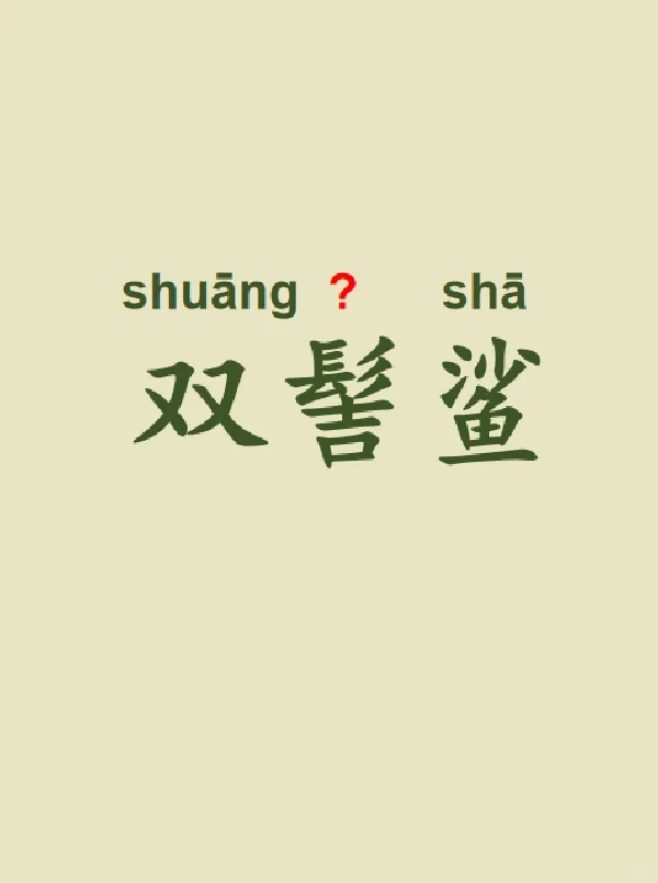 今天来学习——双髻鲨