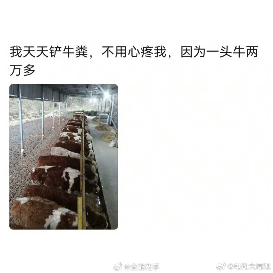 看起来不体面的工作能有多挣钱 脉脉的风吹到了底层劳动人民身上