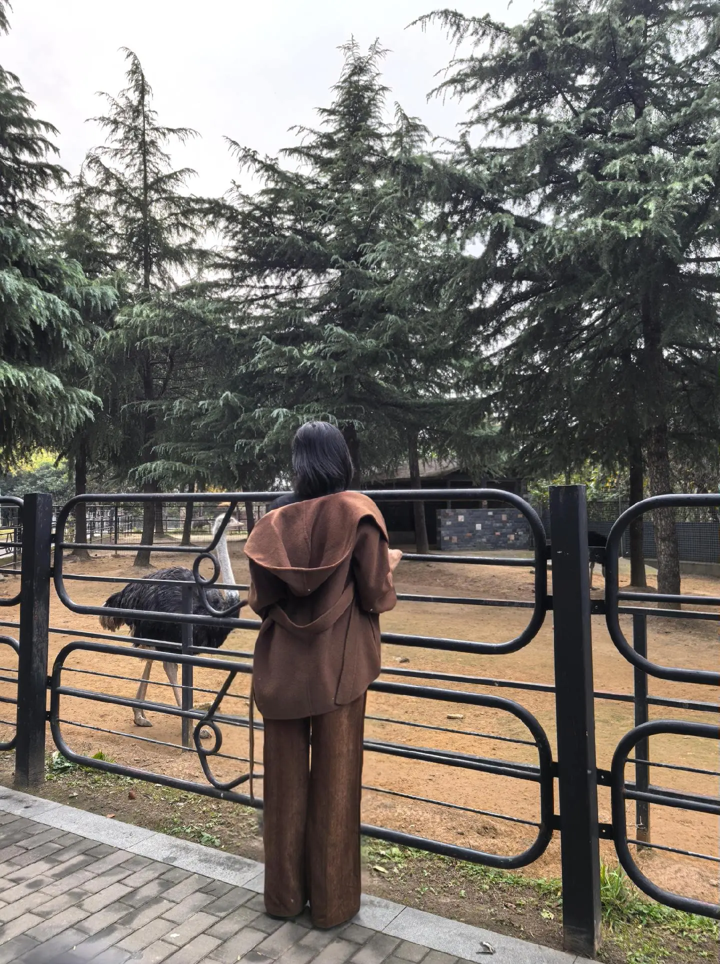 “人在不同的时间，想要的东西不一样，没有必须，没有一定，随心随缘就好”