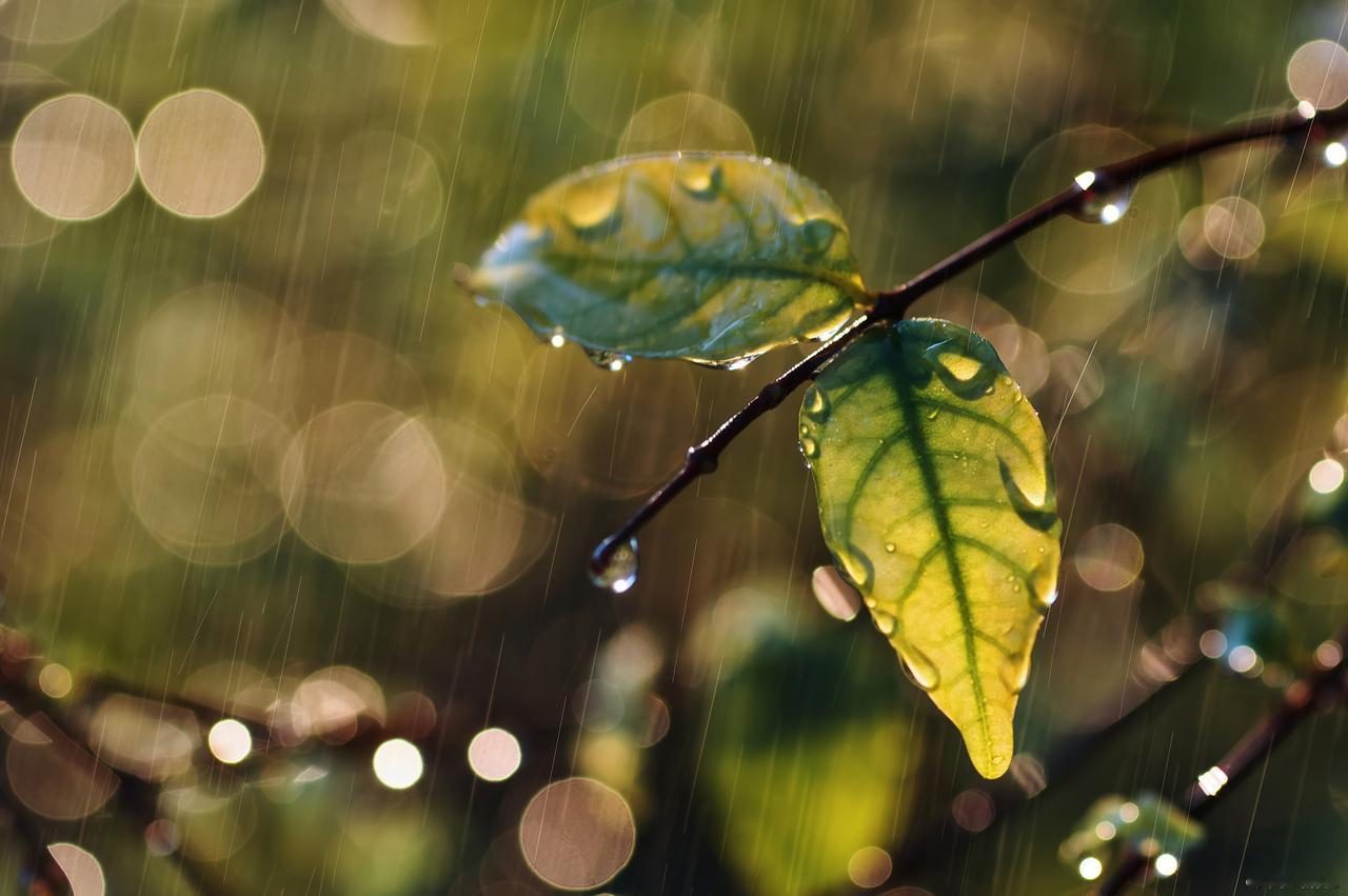 一段很通透的话:
走过的路越多，
越能看清生活的模样：
真正能填满日子的，
从不