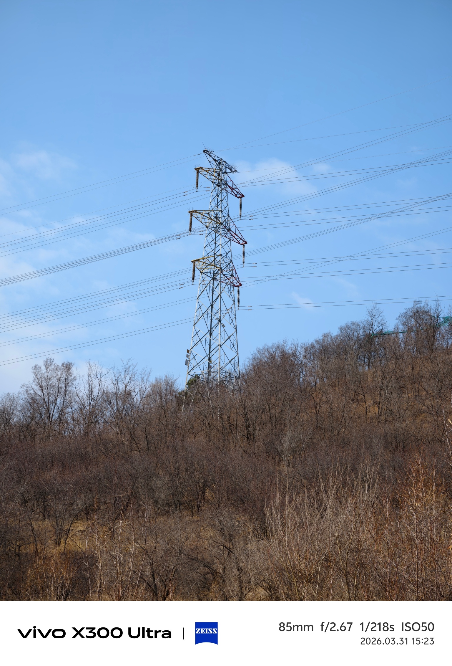 vivo X300 Ultra，85毫米2亿像素原图和细节，令人惊叹！ 