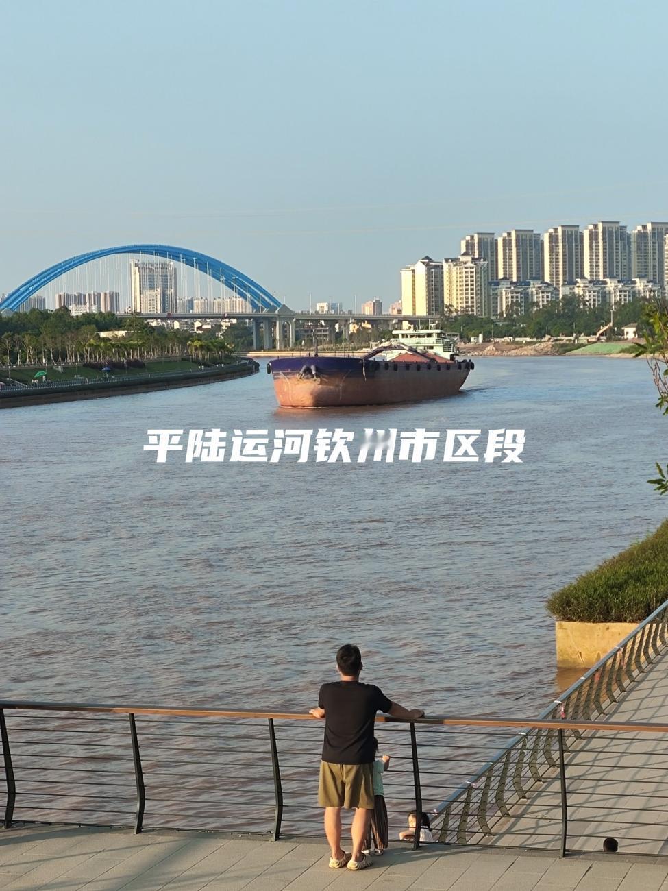 平陆运河严禁污染物排放。《广西壮族自治区平陆运河保护与管理条例》规定，加强船舶排