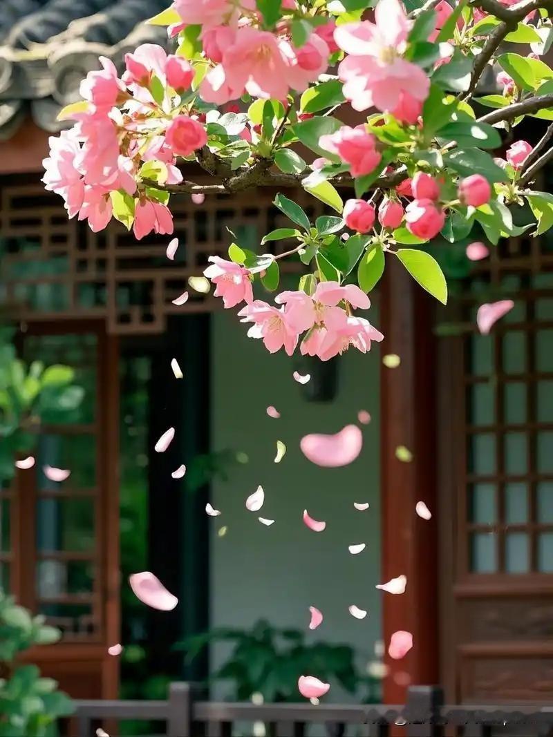 《惜落花赠崔二十四》
——唐·白居易
漠漠纷纷不奈何，
狂风急雨两相和。
晚来怅