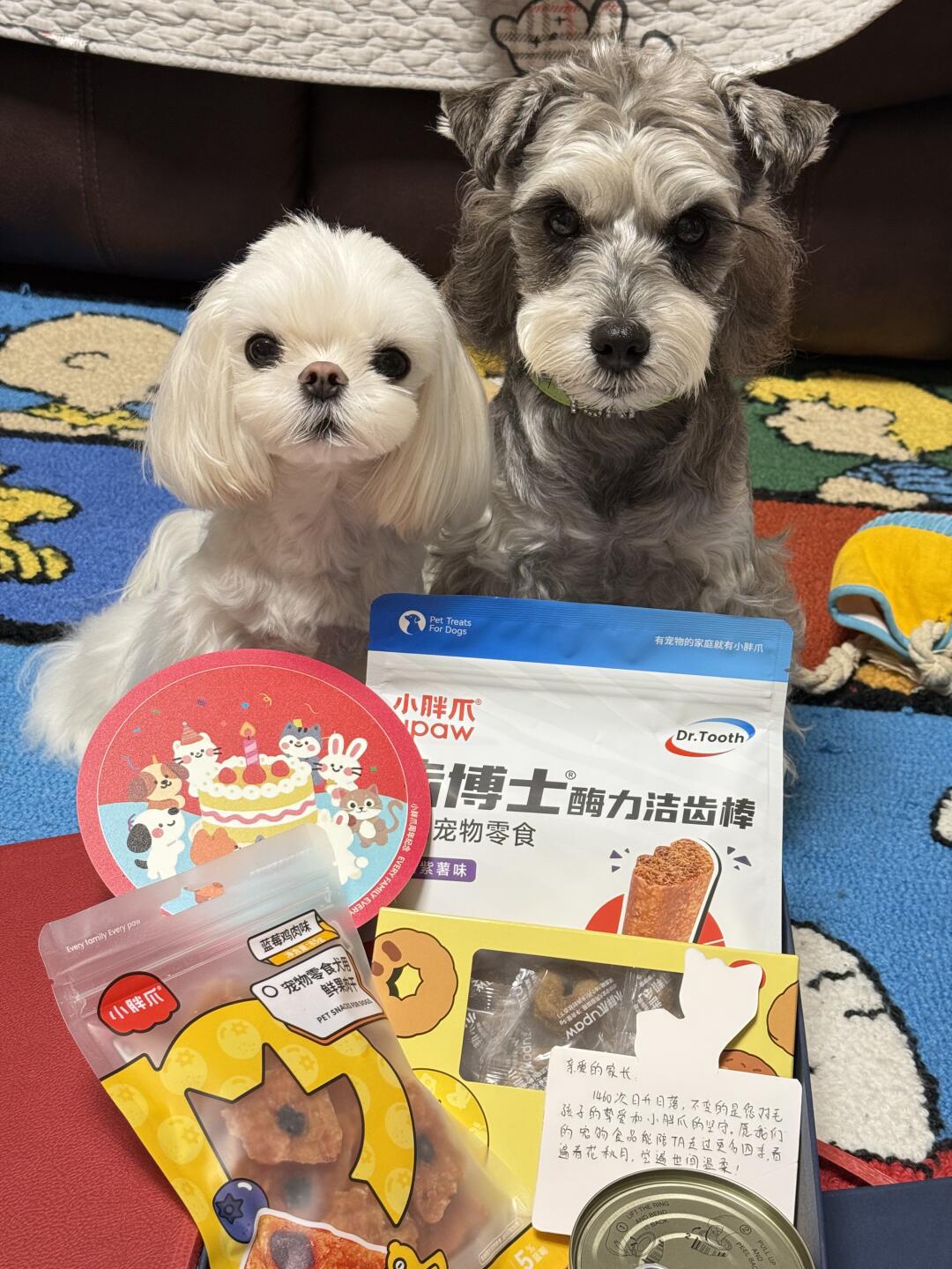 六一儿童节 小胖爪礼盒🎁给狗宝过节啦