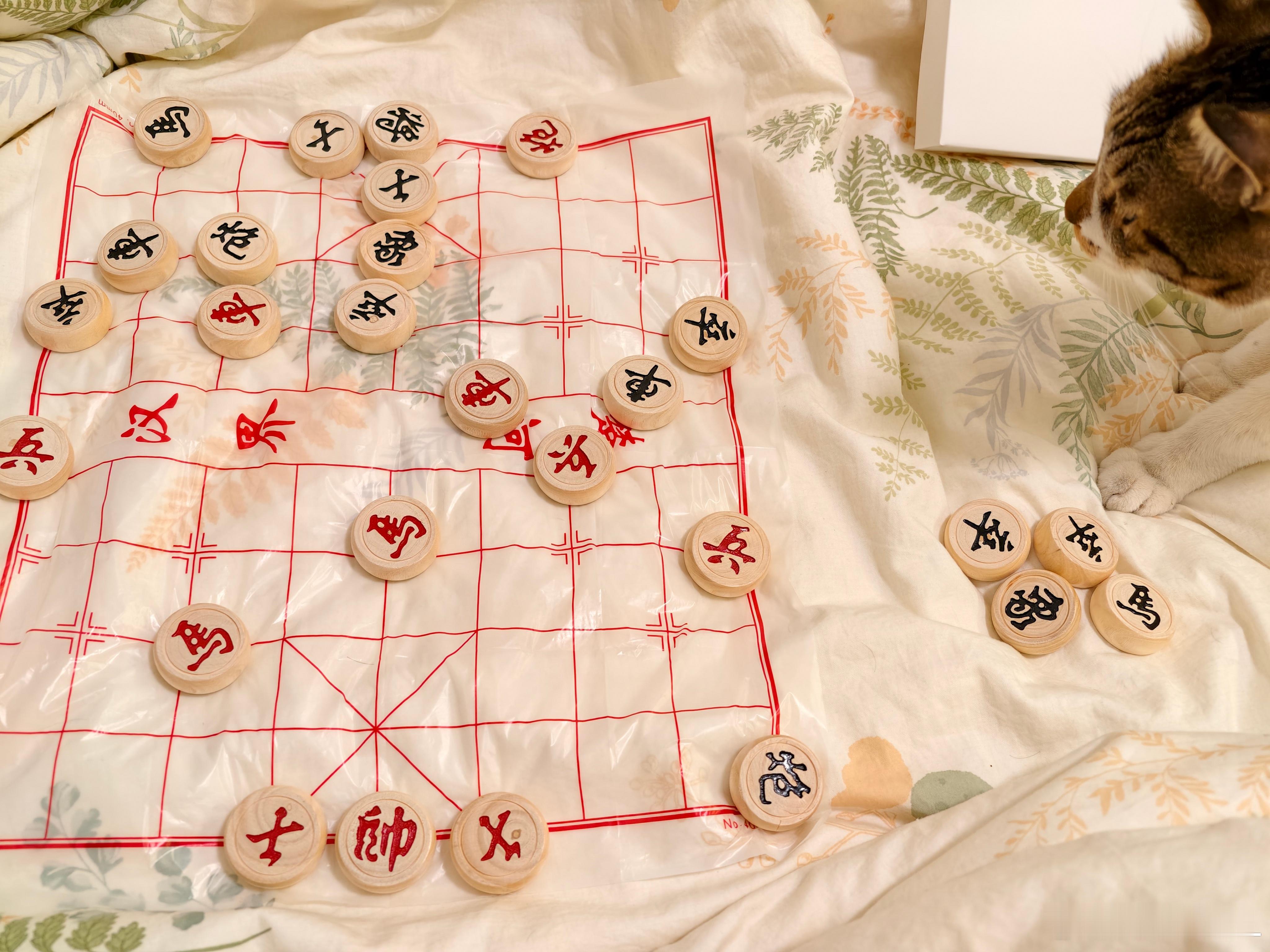 跟小徐下象棋。该我走了。当前盘面应该如何应对？ 