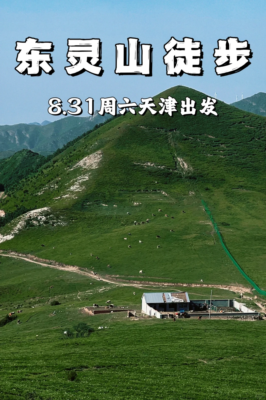 东灵山‼️高山草甸无敌😎拍照嘎嘎好看