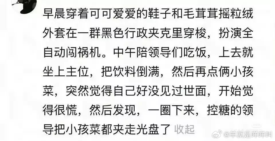 娇牛马文学 ​​​