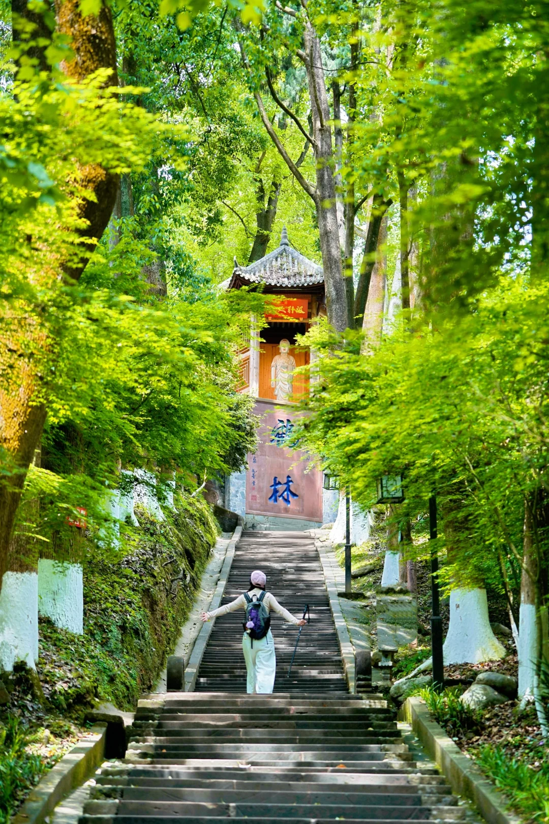 成都古寺‼️求学业！真的巨灵……速来接！！