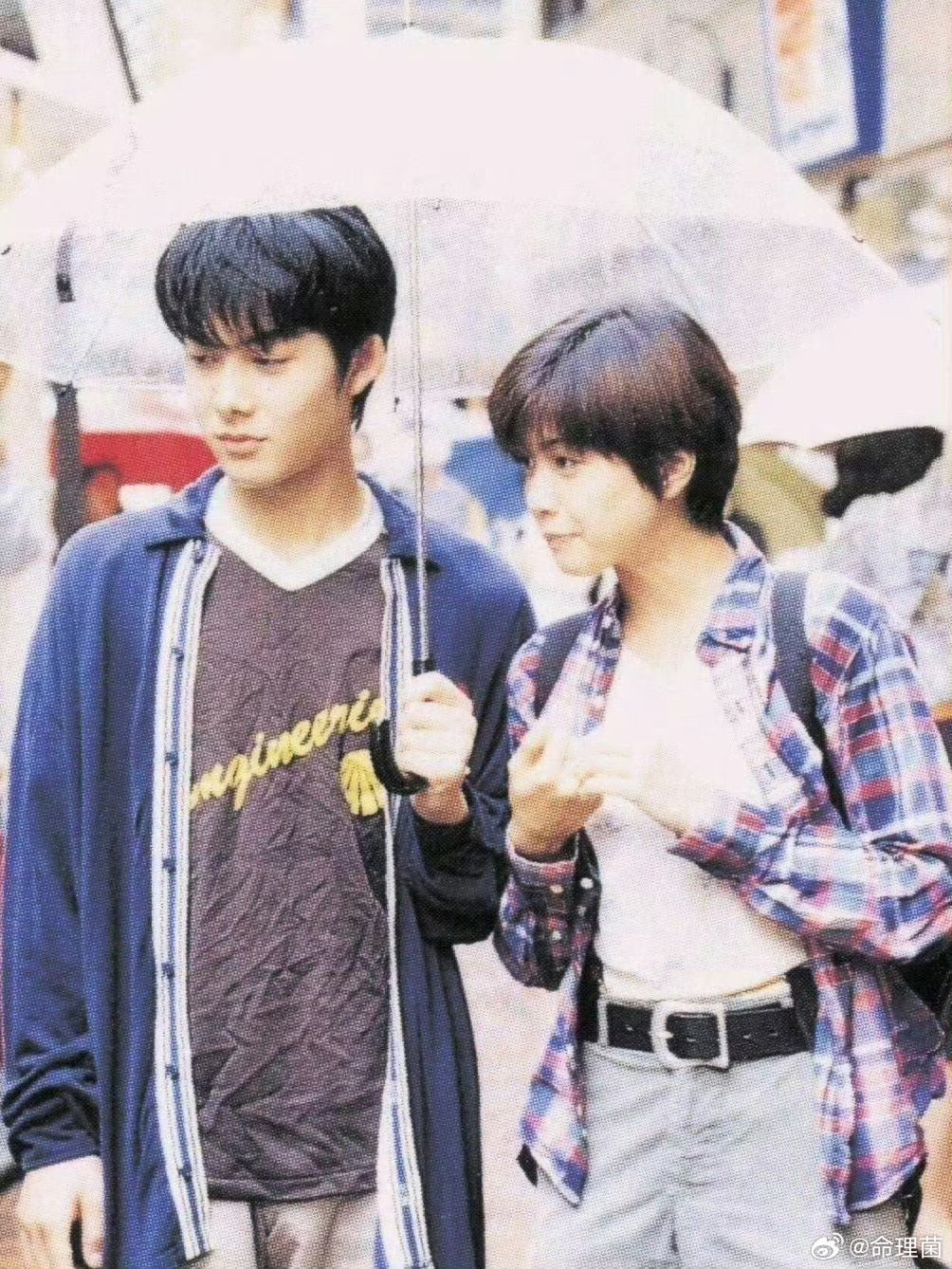 内田有纪柏原崇结婚合适 相配 有夫妻相 