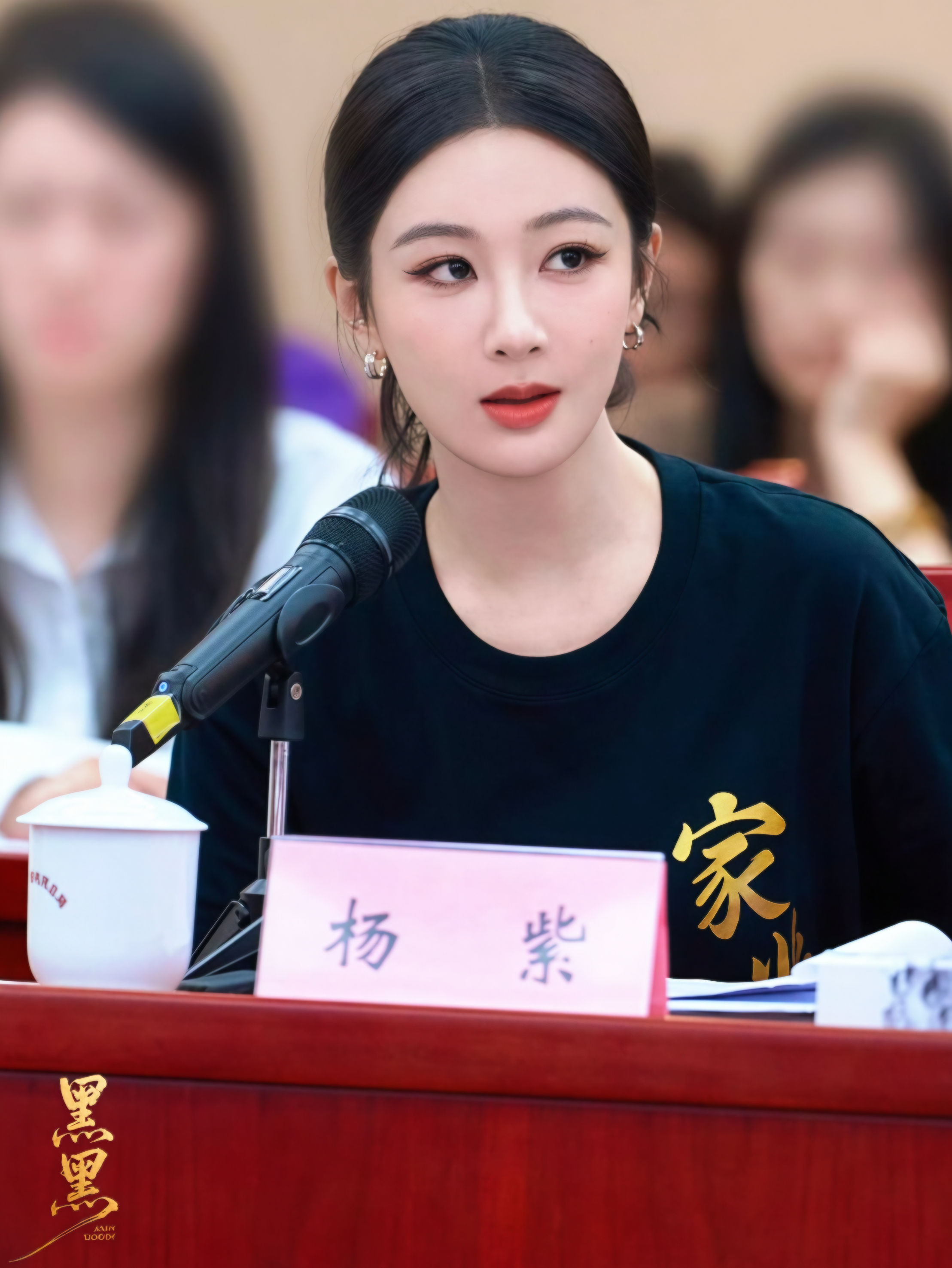 杨紫杨紫李祯 【一—三】已被昨天参加家业座谈会的迷晕，谈吐有文化，气质干练，棒棒