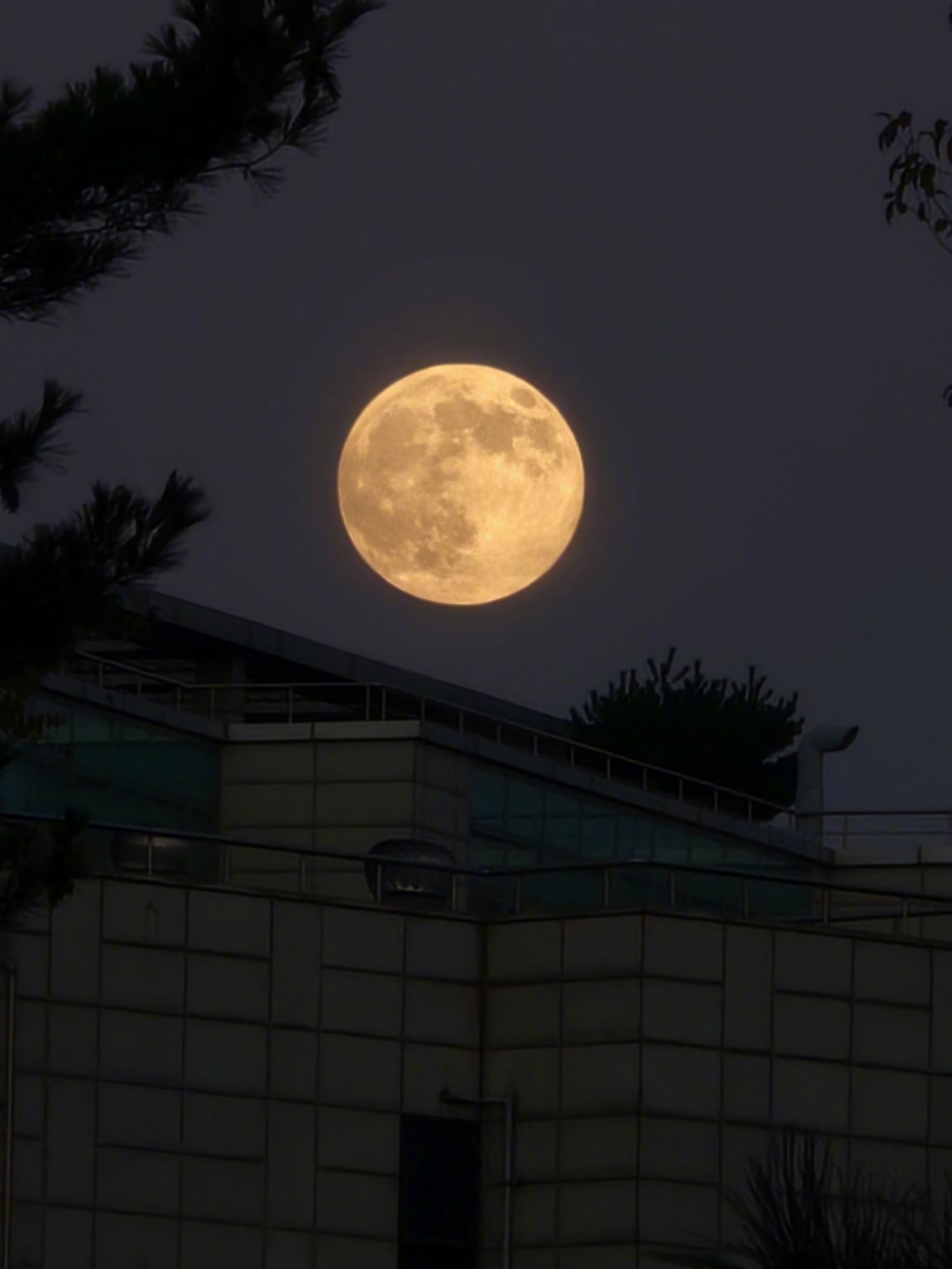 今天的月亮，也太圆了吧~~[色]是的，又到了一年好几次（最近每个月一次）的超级月