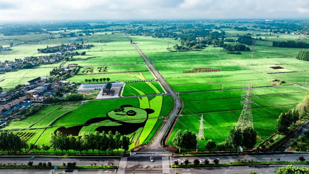 “村糖会”刷屏！中西部第一省会，又出圈了