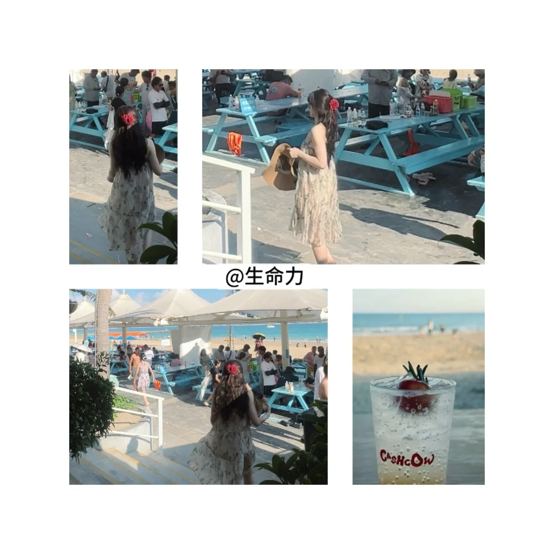 一定要去的海岛🌊生命力