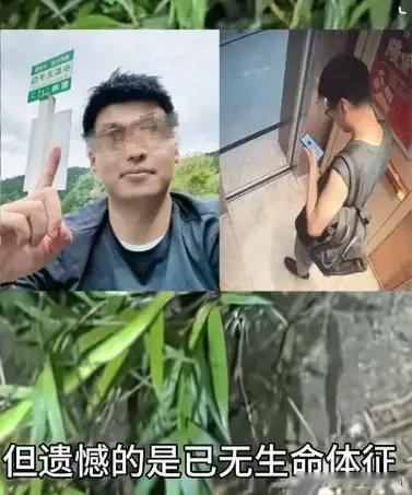 现在AI发展的这么快，通讯信号什么时候能覆盖每一个角落 。要是有信号，就不会有这