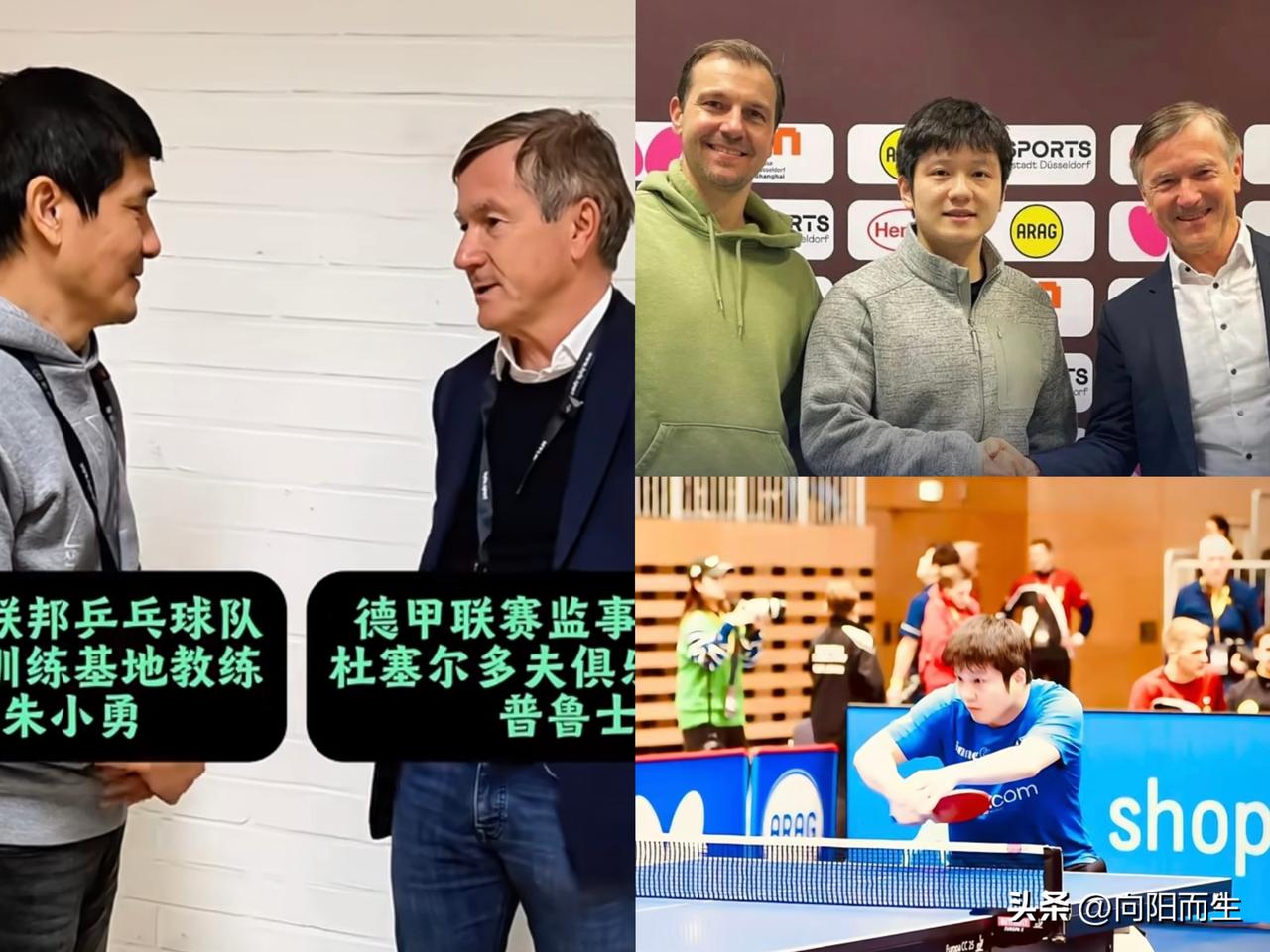杜塞尔多夫是欧洲乒坛顶级豪门，
底蕴足、实力强，
最近更是热度拉满。
它拿过三十