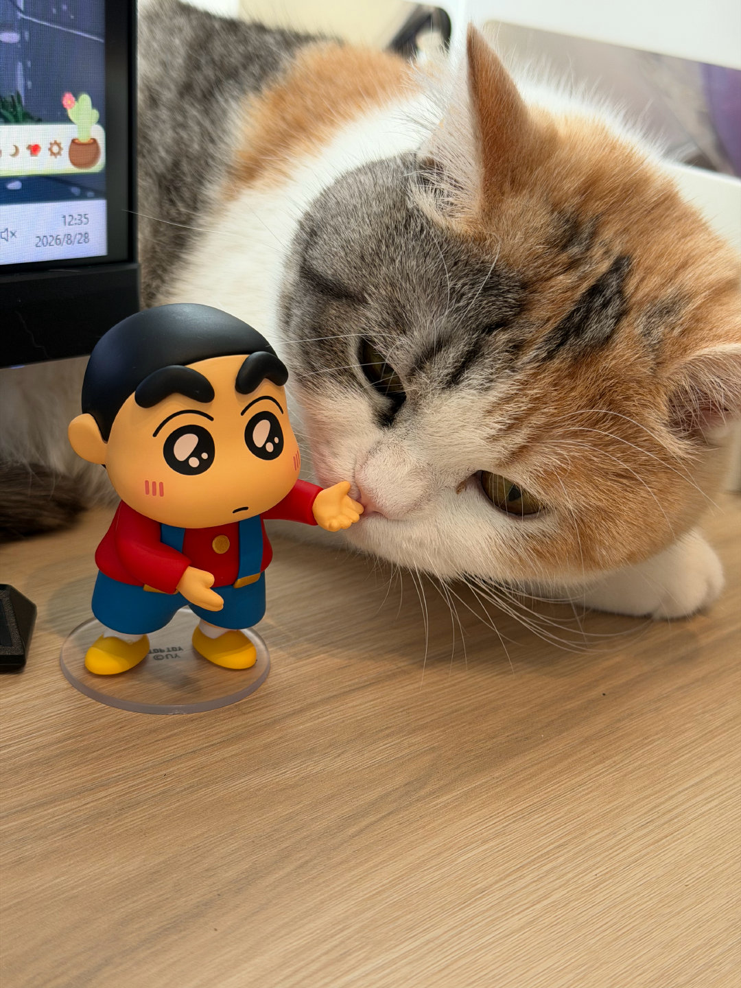看！是睡着的小猫咪！ ​​​