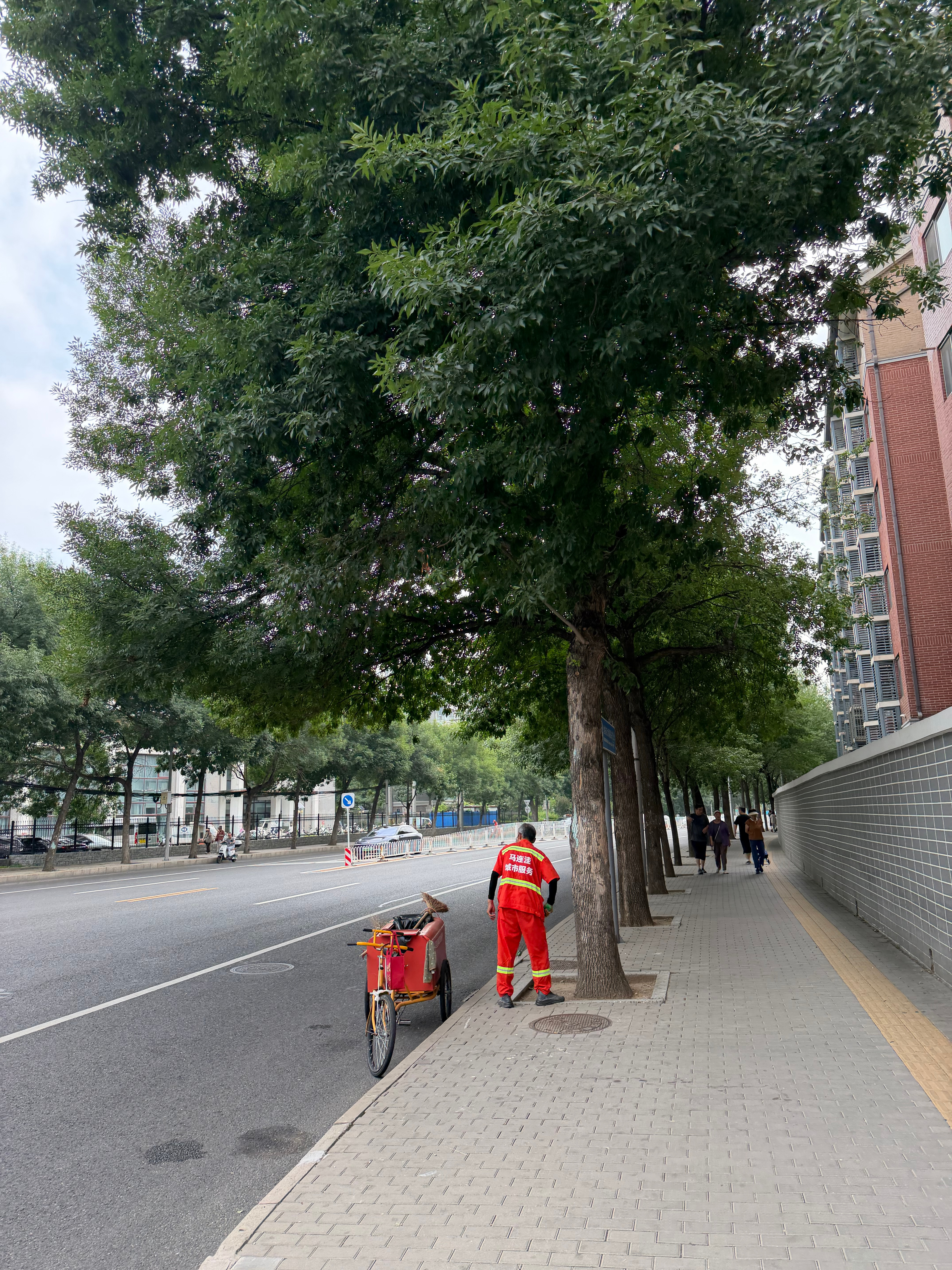 跑不动先生的日常  自己没有课表，你的课表就是我的课表今日课表：87654公里配