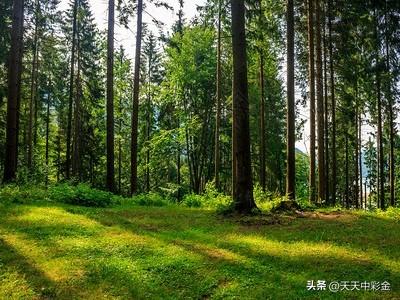 根据国家气候中心预测，2026年6—8月全国大部气温较常年偏高0.5~3℃，高温