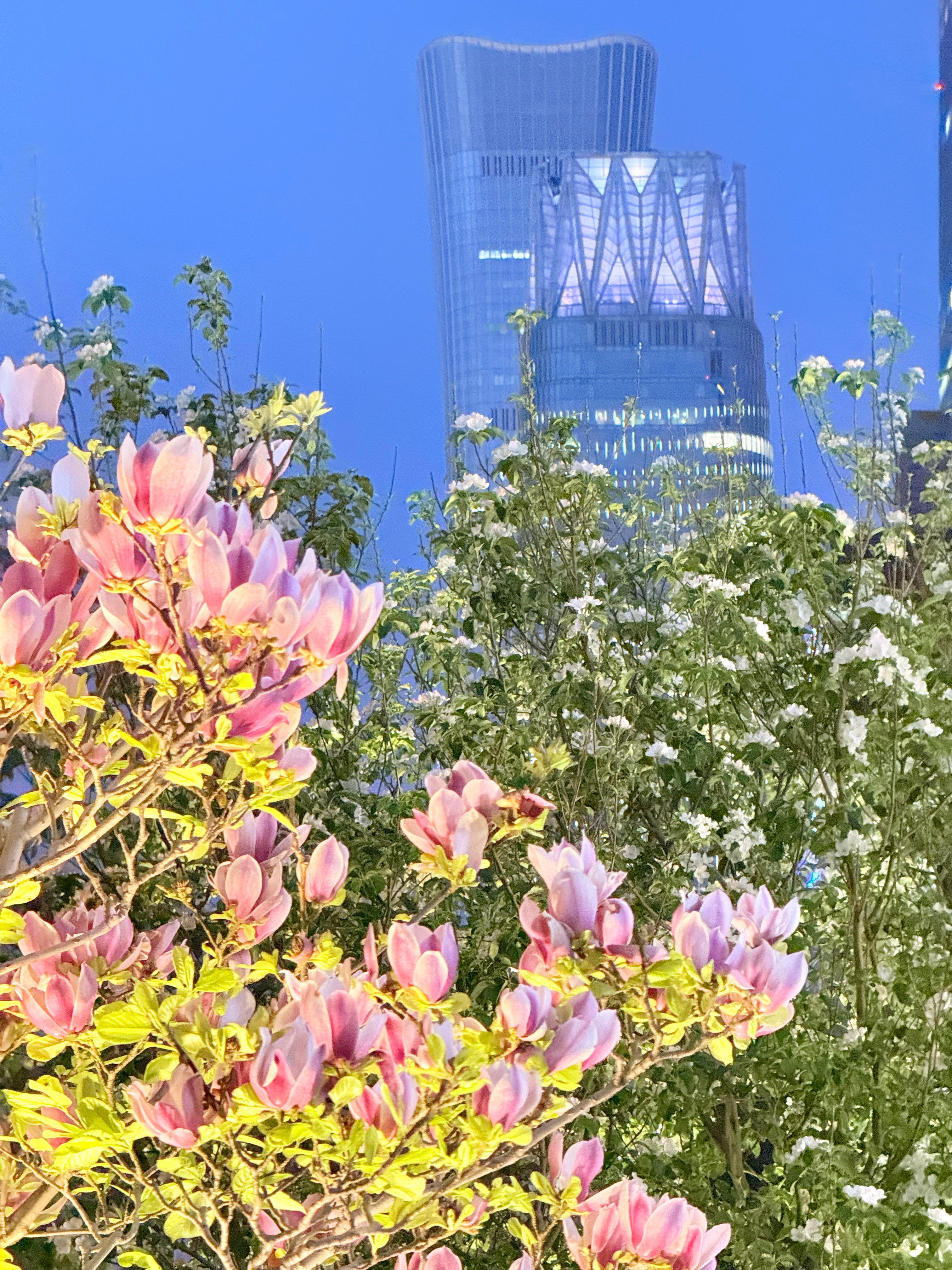 任豪POI 这里有个仁邀任看花