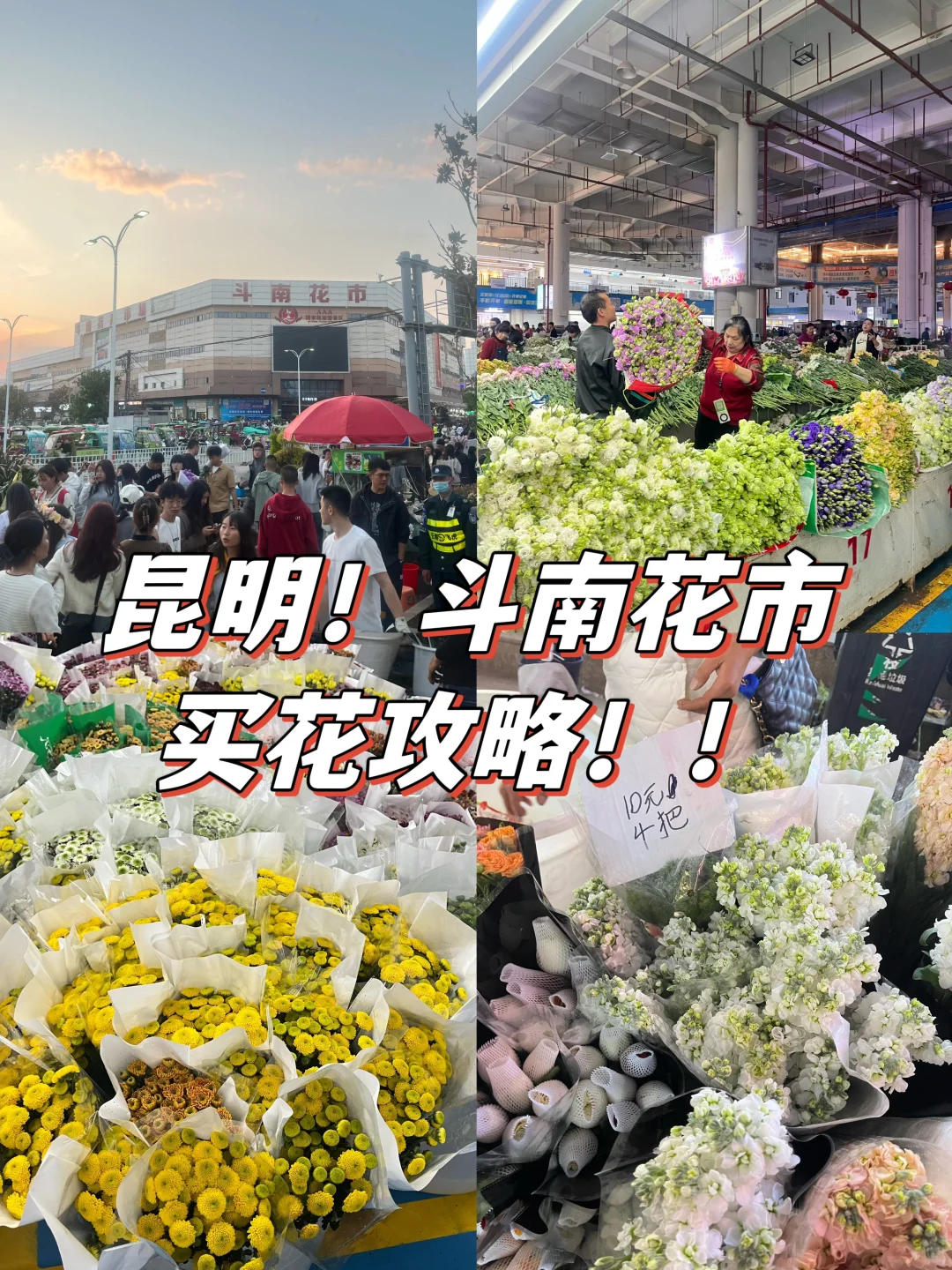 昆明斗南花市！不敢相信😅10r！4束花💐