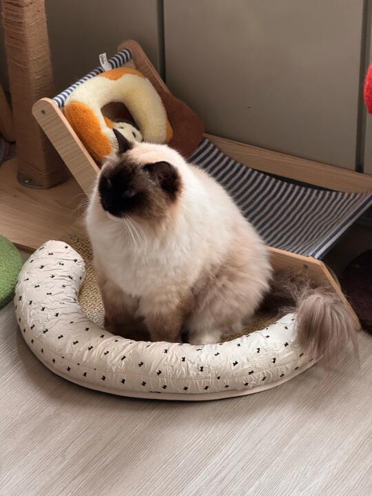 我不愧是养猪专业户～