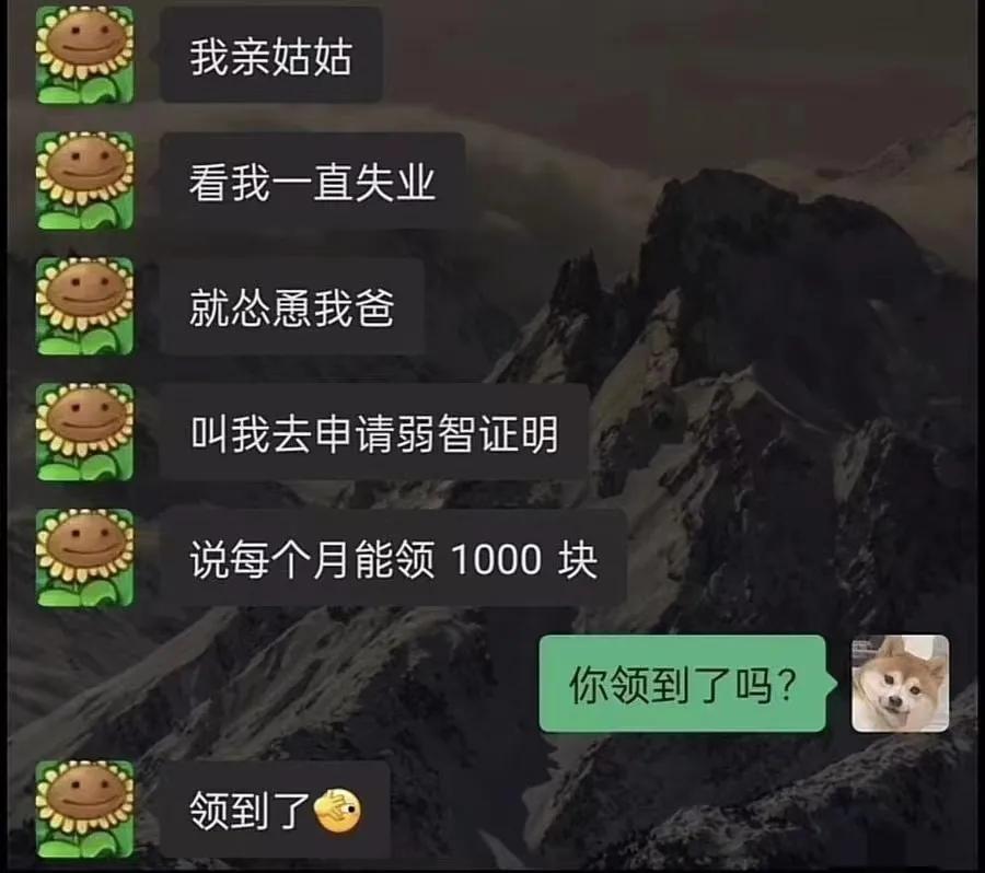 最后得意的小表情，让我觉得这1000块是你应得的[捂脸]