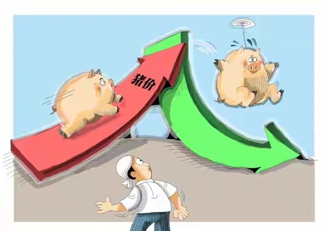 大盘稳在3800，猪价却跌破5块2，养殖股为什么纹丝不动？大盘在涨，猪价在跌，养