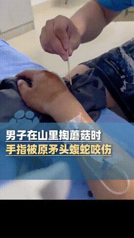 “悲剧还是发生了！”四川自贡，一男子在竹林里采蘑菇时，刚打算伸手掏开洞穴，没想到