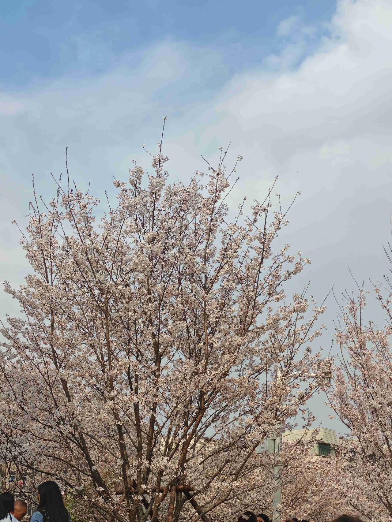 我的今日状态：😁轻松愉快
我这里的天气：🌧下雨