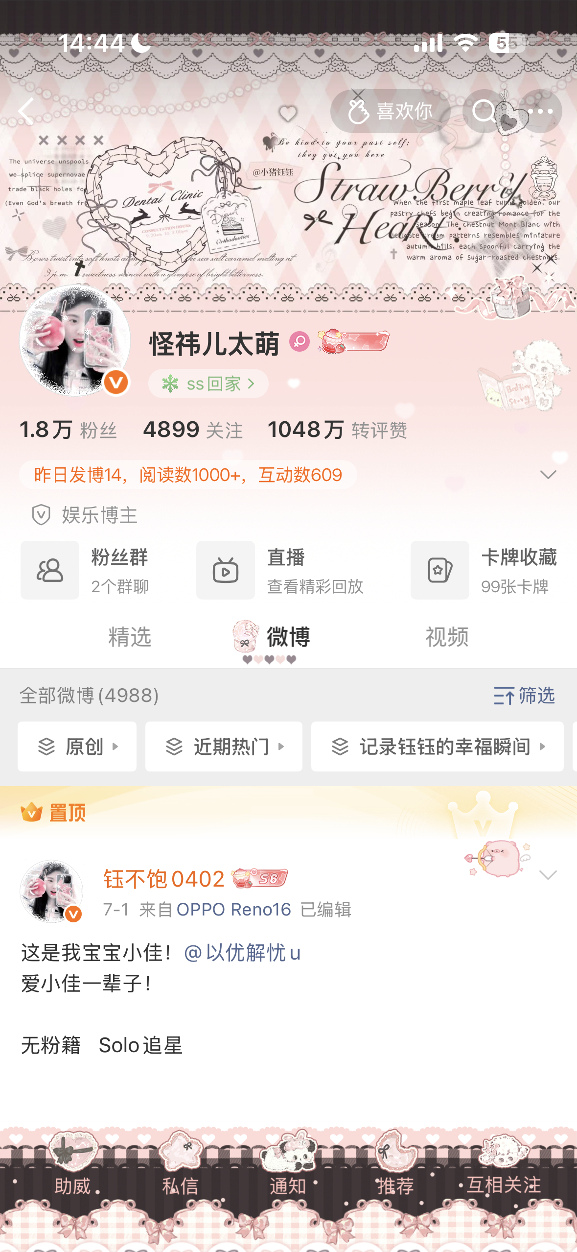 晚上好 来动动 