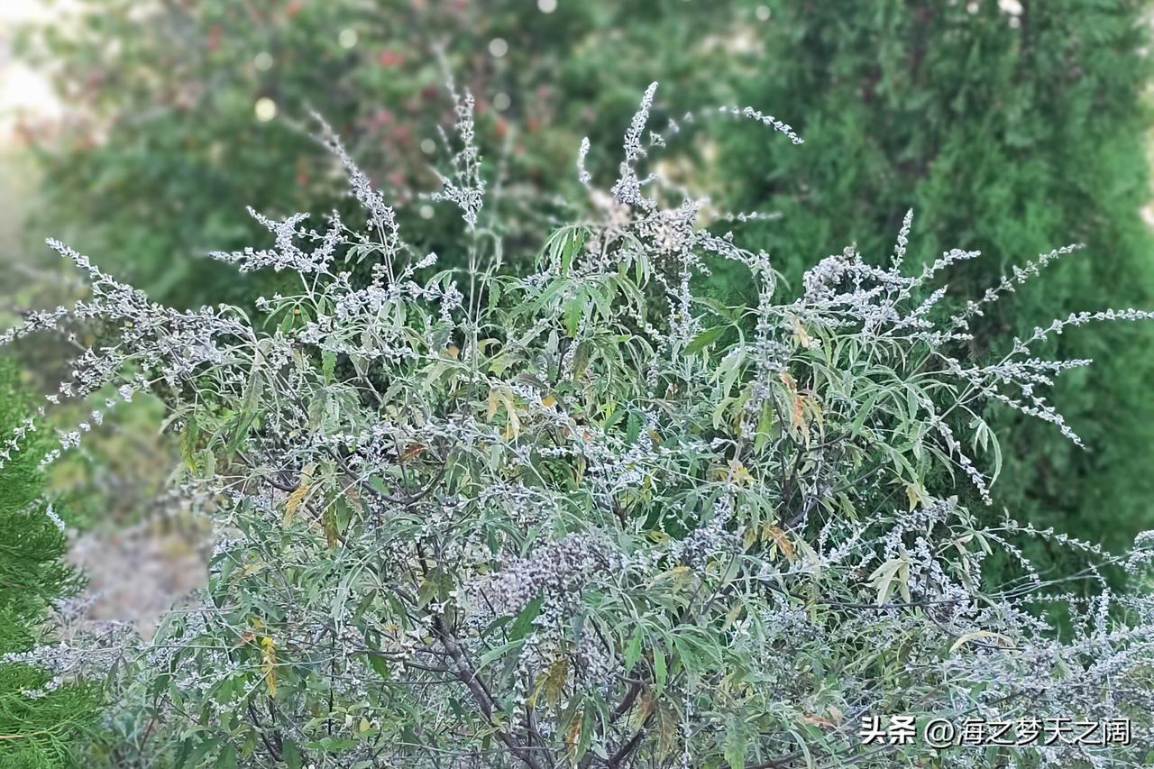 其实，我们有时候心情不好的时候，就要多出来走走，因为大自然懂得我们的内心，风霜雨