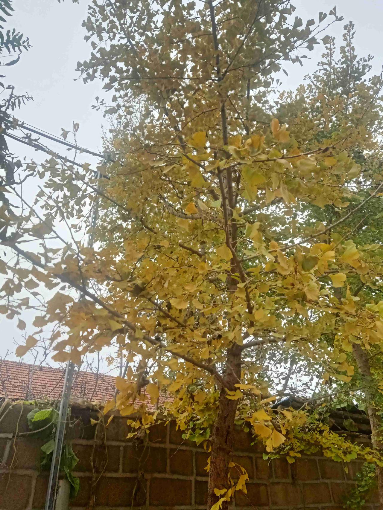 我的今日状态：🏝️旅行度假
我这里的天气：🌤️多云